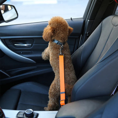Correa Cinturon de Seguridad Pet Coche